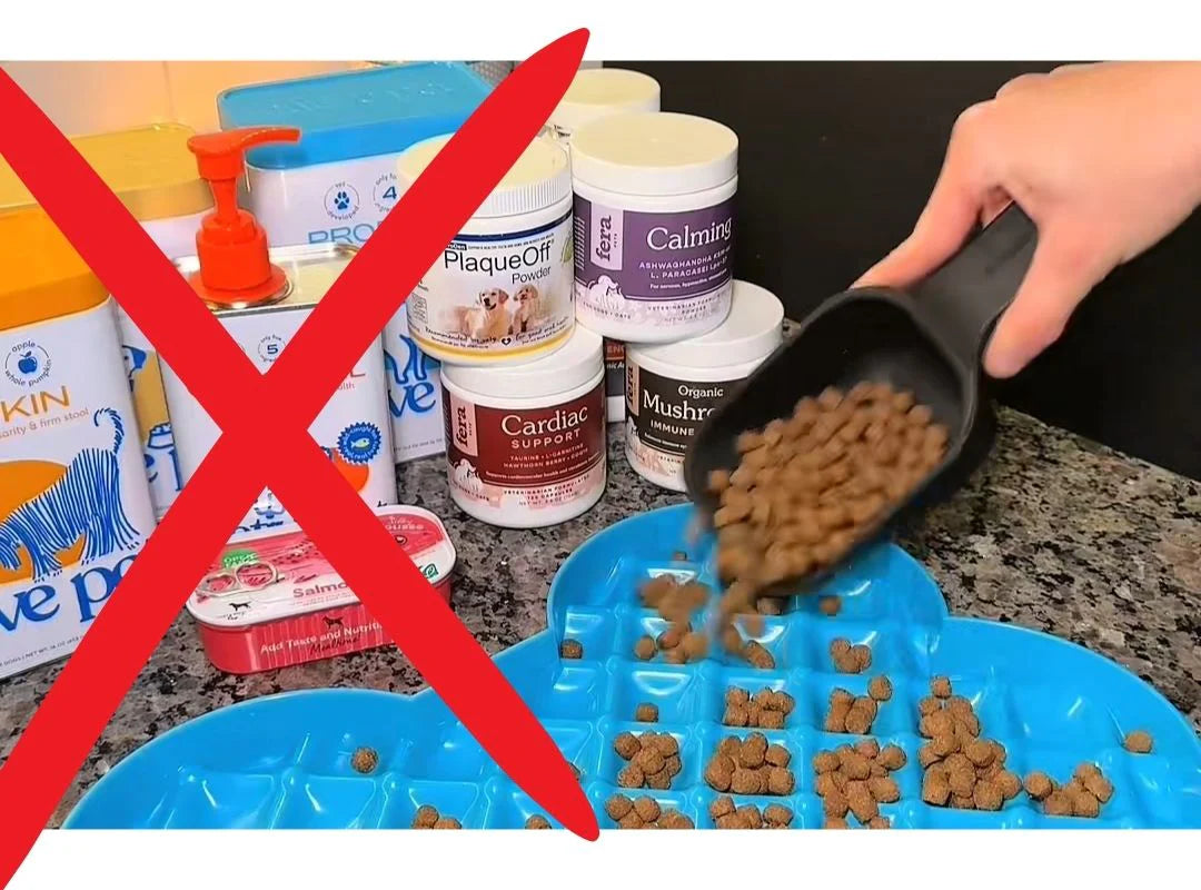 A counter full of different dog supplements crossed out, next to kibble being poured